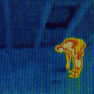 sistemas antiintrusos personalizados en Vigo Pontevedra alarmas deteccion por temperatura